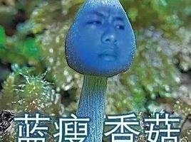 美文 美文