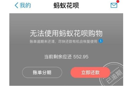 【蚂蚁花呗被关闭】为什么突然花呗支付被关了,无法打开了