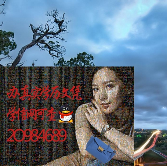 本科学历和学士学位有什么不同