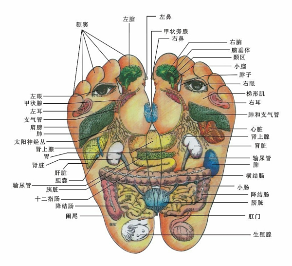 My Image 32