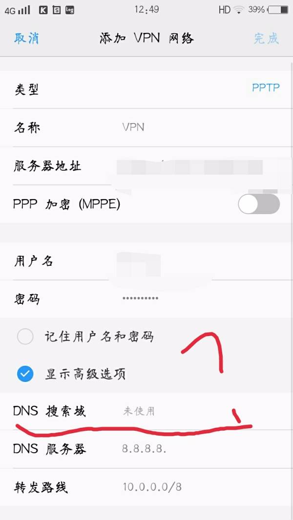 手机VNP中的DNS搜索域应该填什么?