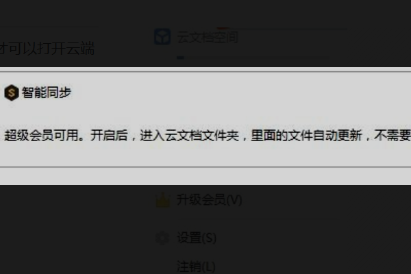 wp小欧破解vip版s网盘怎么用-奇享网