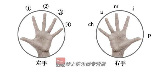 吉他弹唱需要不看乐谱吗