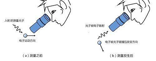 金花三张牌下载:世界上有哪些已经被证明是正确但又令人无法接受