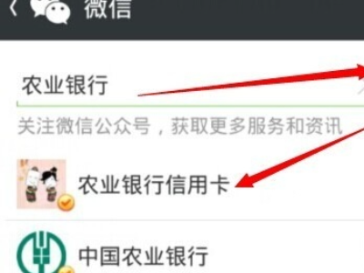 【农业银行信用卡申请进度查询】中国农业银行信用卡申请进度查询