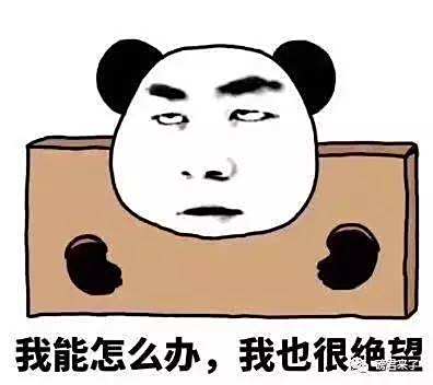 50da81cb39dbb6fd91b8da4d0724ab18962b37fd.jpg