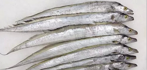 可以治疗浮肿、腹水、产妇乳少、胃下垂、脱肛等病症 水族资讯 南宁水族馆第13张 可以治疗浮肿、腹水、产妇乳少、胃下垂、脱肛等病症 水族资讯 南宁水族馆第13张