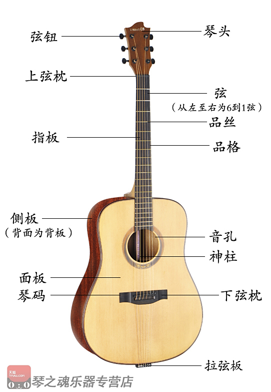 吉他弹唱需要不看乐谱吗