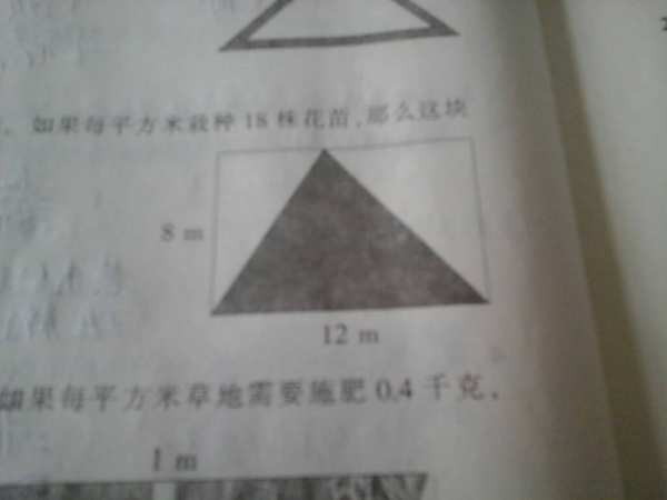什么是影成语_这是什么成语看图(2)