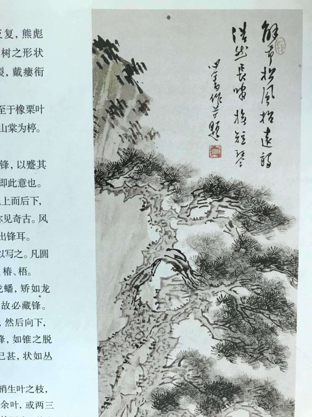 成语什么琴煮鷔_成语故事简笔画(3)