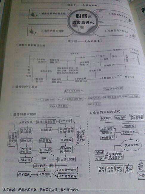 高中生物必修一二三的知识结构总结框架图_百度知道