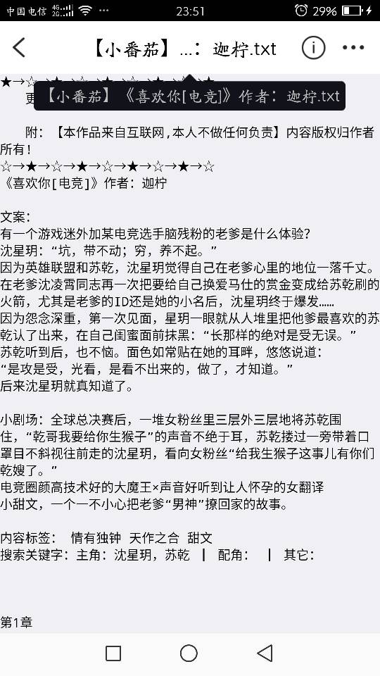 求伽柠的小说《喜欢你》电竞文百度网盘啊