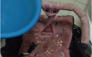 【好孩子推车】gb好孩子婴儿车怎么样?用过的说下
