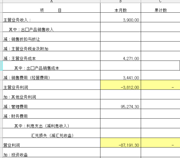 收入支出明细表模板_营业外收入与支出