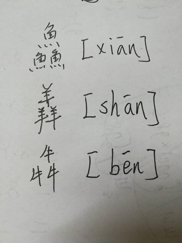 三个鱼念什么,三个羊念什么,三个牛念什么
