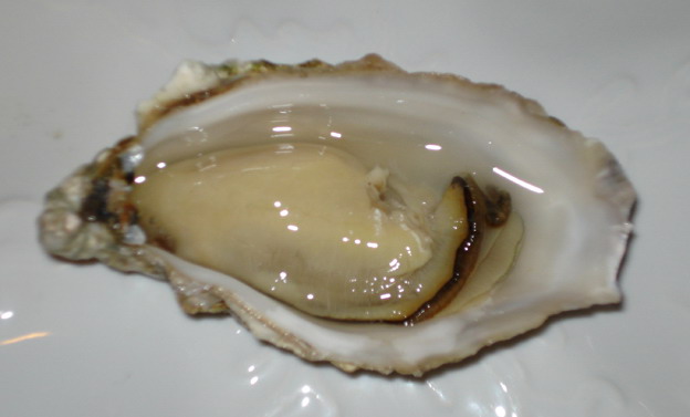 生蚝