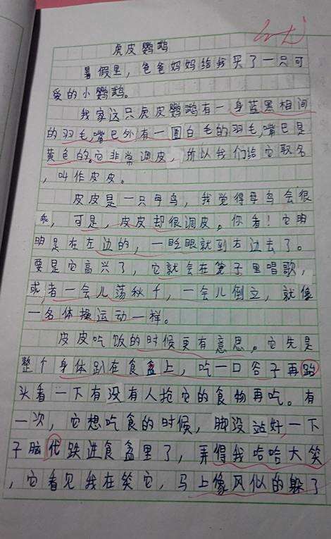 我最喜爱的动物作文_我最喜欢的动物作文