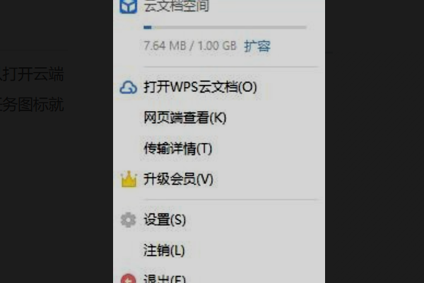 wp小欧破解vip版s网盘怎么用-奇享网