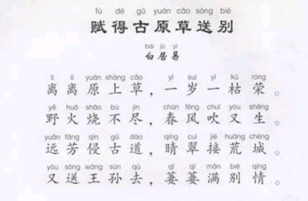 科场简谱_儿歌简谱(3)