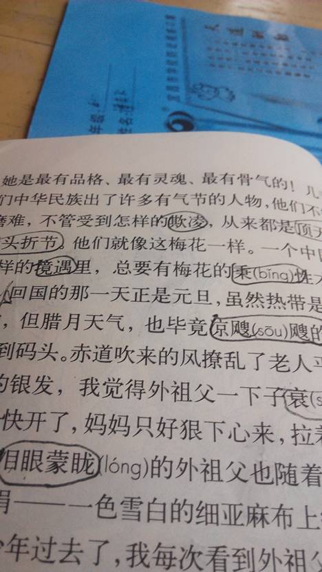 具有品牌的眼镜店装修_具有梅花秉性的人
