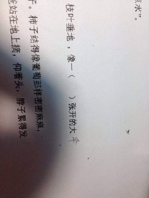 什么大伞成语_成语故事图片(2)