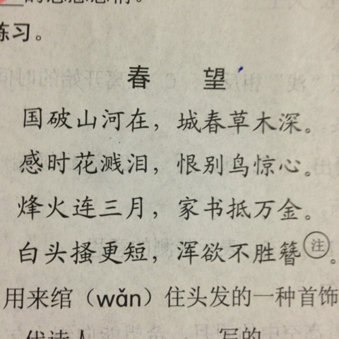 春望简谱_春望