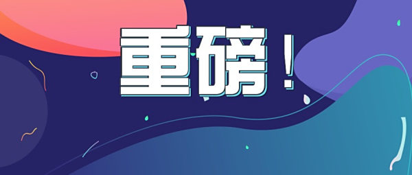 【601258庞大集团】庞大集团股票如何索赔