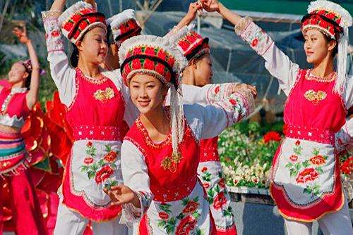 炸金花下载:金花是什么意思