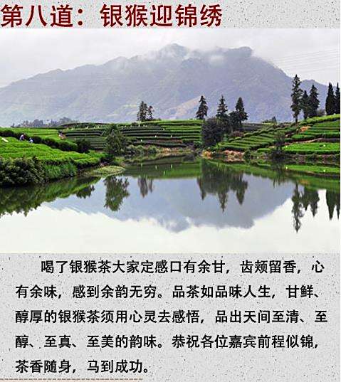 松阳银猴的简介