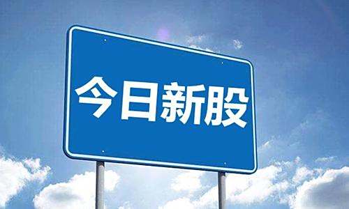 【新股申购网】