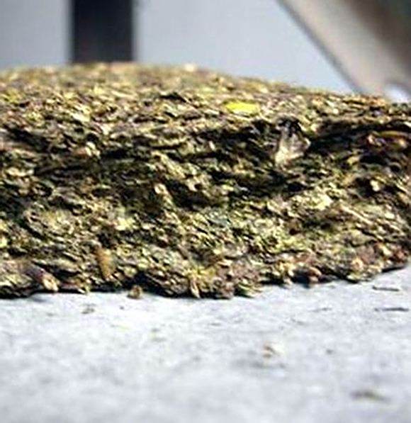 炸金花下载:黑茶的金花是什么?