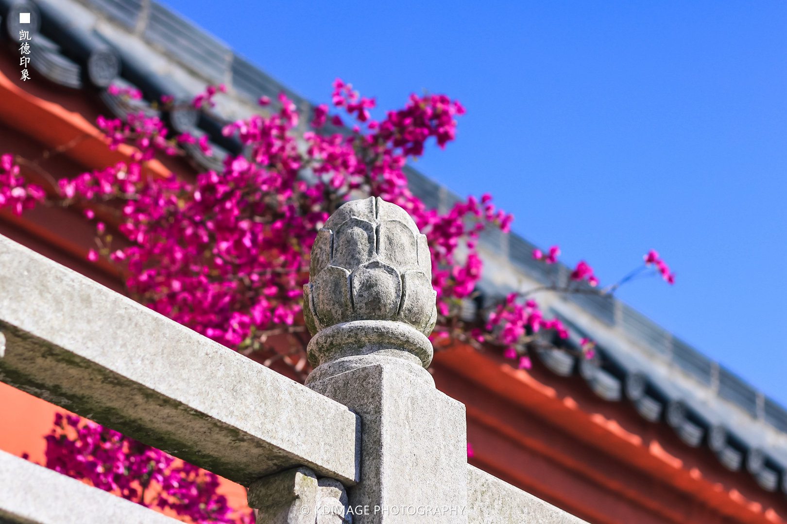 广州旅游攻略图片49