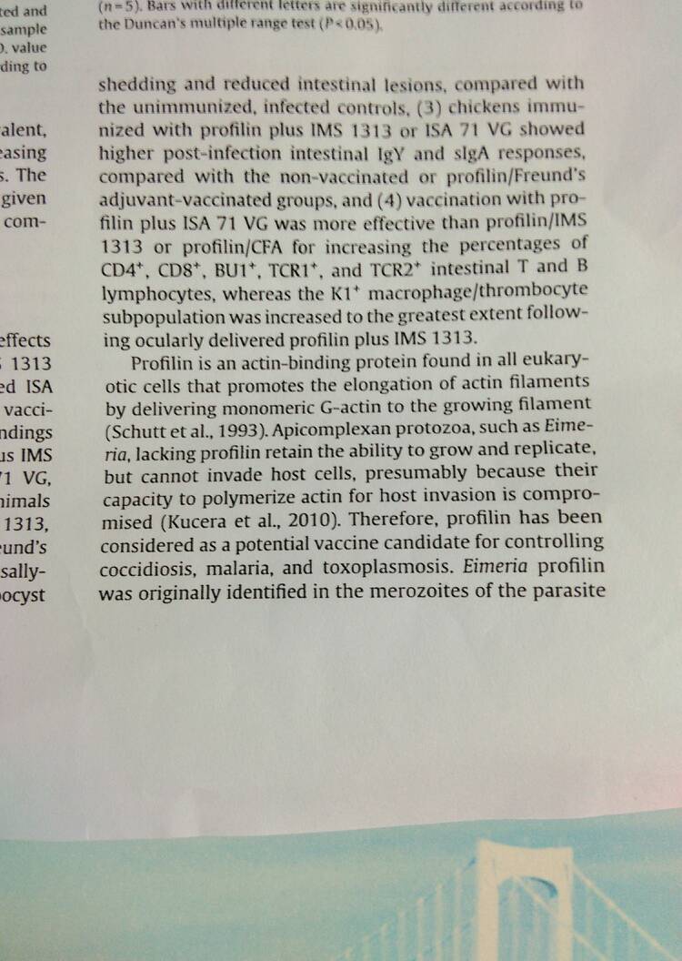 翻译英语科研文献,,,尽量翻译吧,有悬赏
