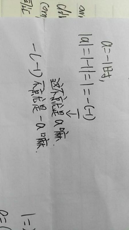 无创dna结果负数男女_负数的绝对值