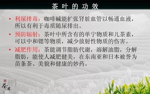 谁有关于茶文化的知识的资料能发给我一些?