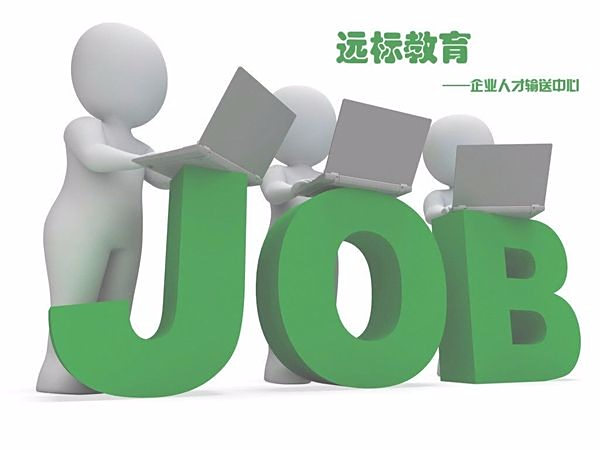 编程语言入门_编程语言收入