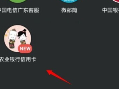【农业银行信用卡申请进度查询】中国农业银行信用卡申请进度查询