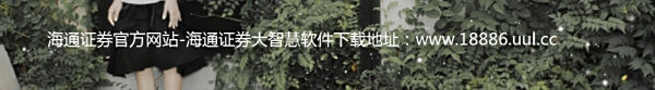 【海通证券大智慧2008】如何下载海通证劵大智慧2008专业版?