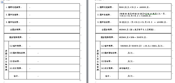 医院运营费用预算,医院运营费用预算表