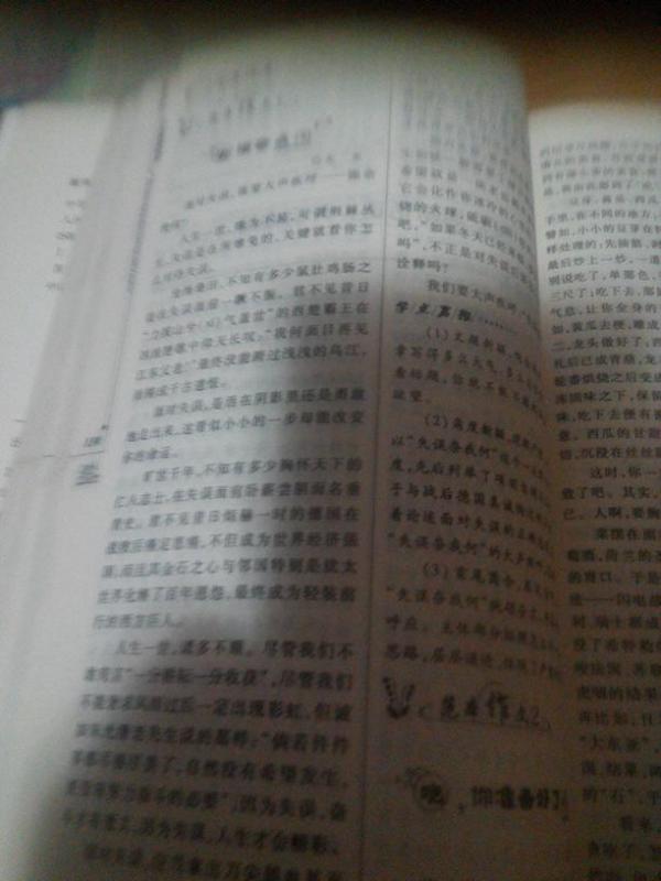 周记600字